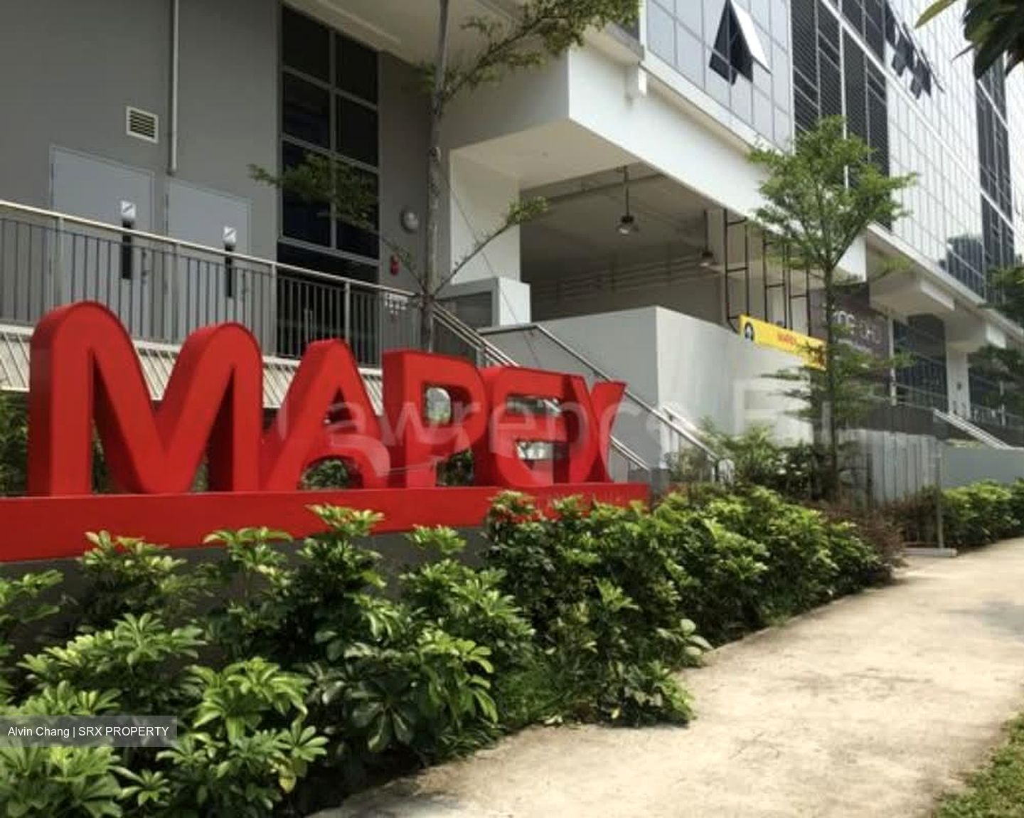 Mapex (D20), Retail #575671021